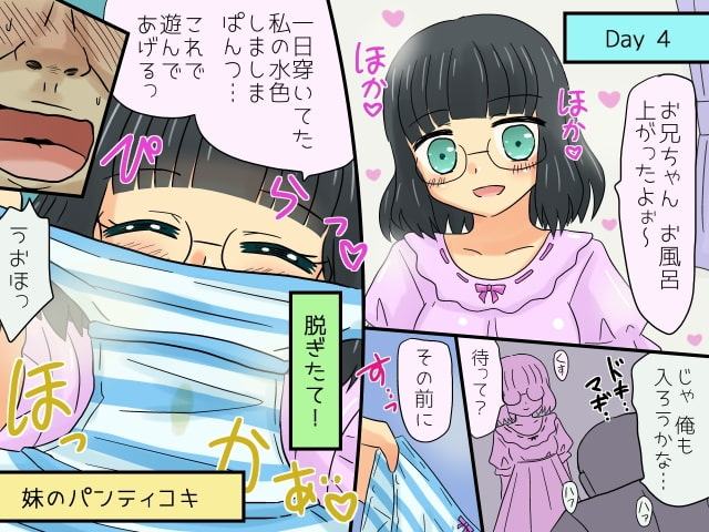 ニート兄を日々弄ぶ気まぐれな妹