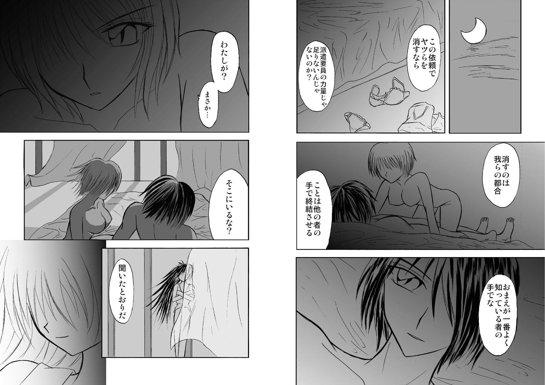 CRISIS FORTUNE vol.1