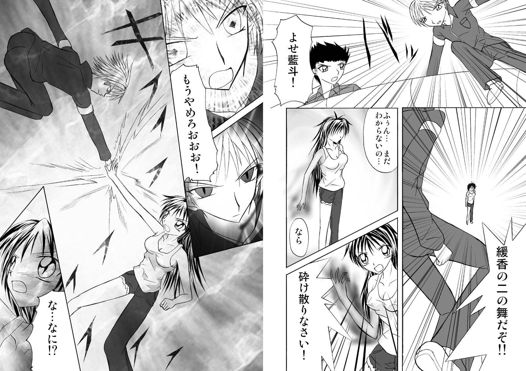 CRISIS FORTUNE vol.1