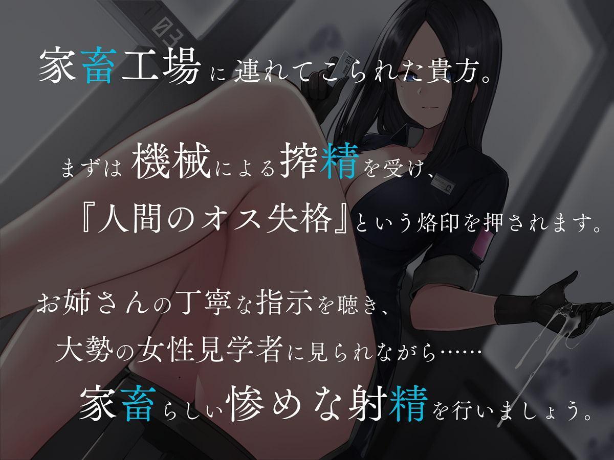 家畜射精3 お姉さんの丁寧語でイク工場見学会