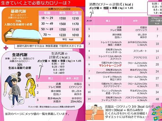 筋肉ランキング