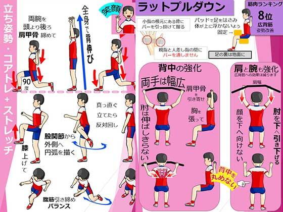 筋肉ランキング