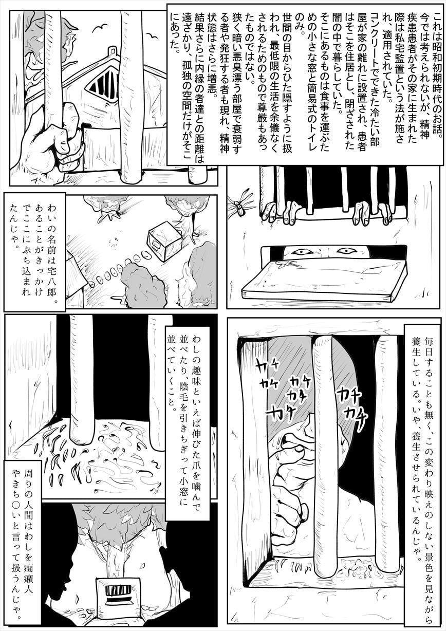 とびだせ!私宅監置