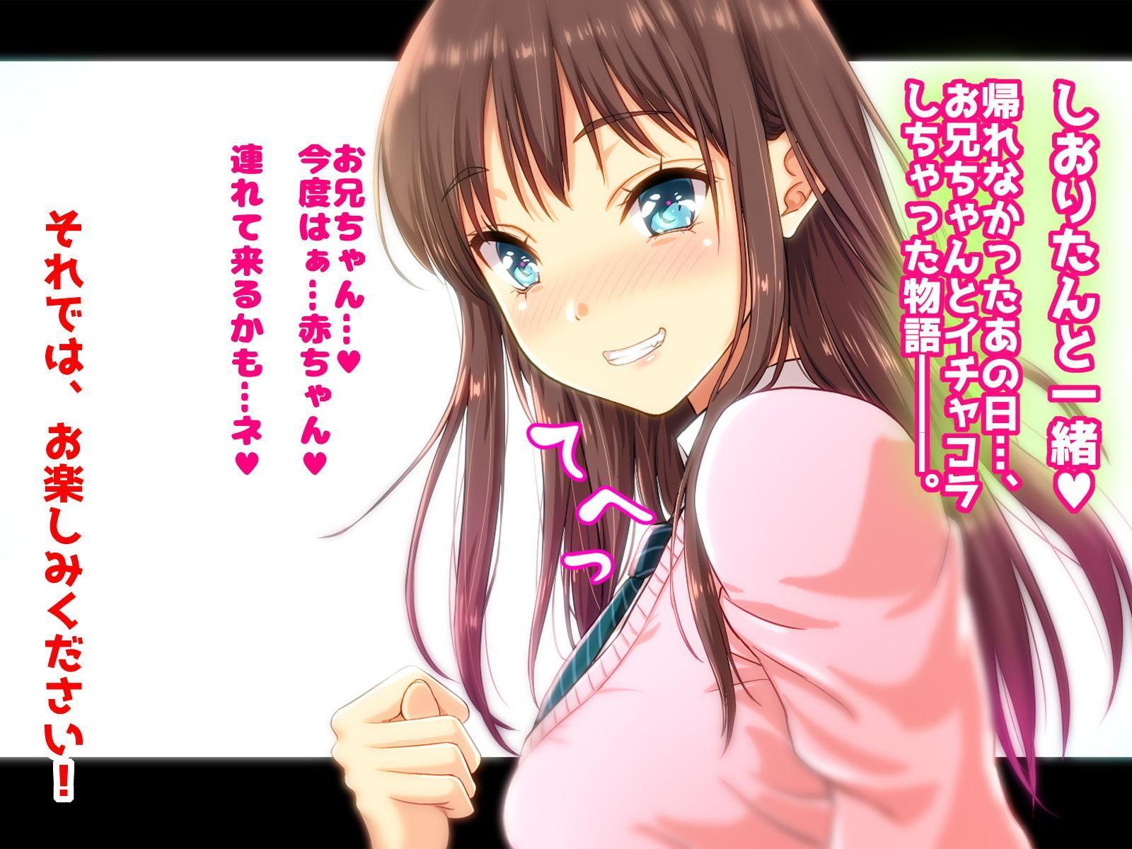 しおりたんと一緒♪ 帰れなかったあの日…、お兄ちゃんとイチャコラしちゃった物語―――。