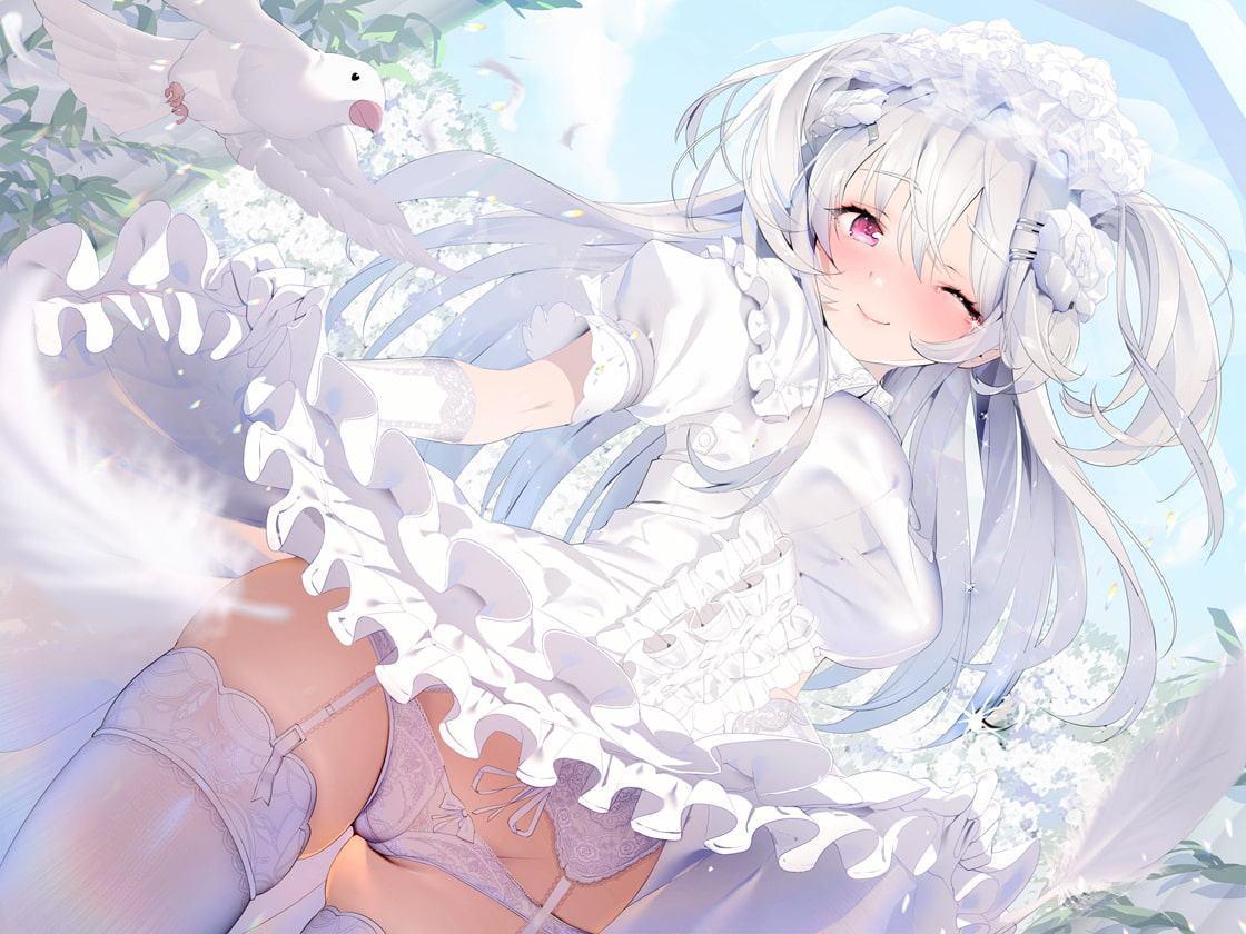 ホワイトボックス～無表情な花嫁に白濁を～【フォーリーサウンド】