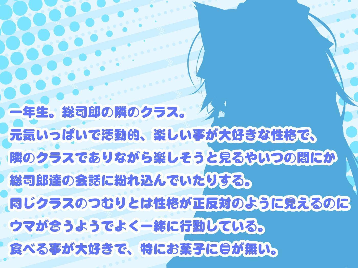 銀髪猫耳のリールゥちゃんがあなたのお耳をたくさん癒しちゃう♪