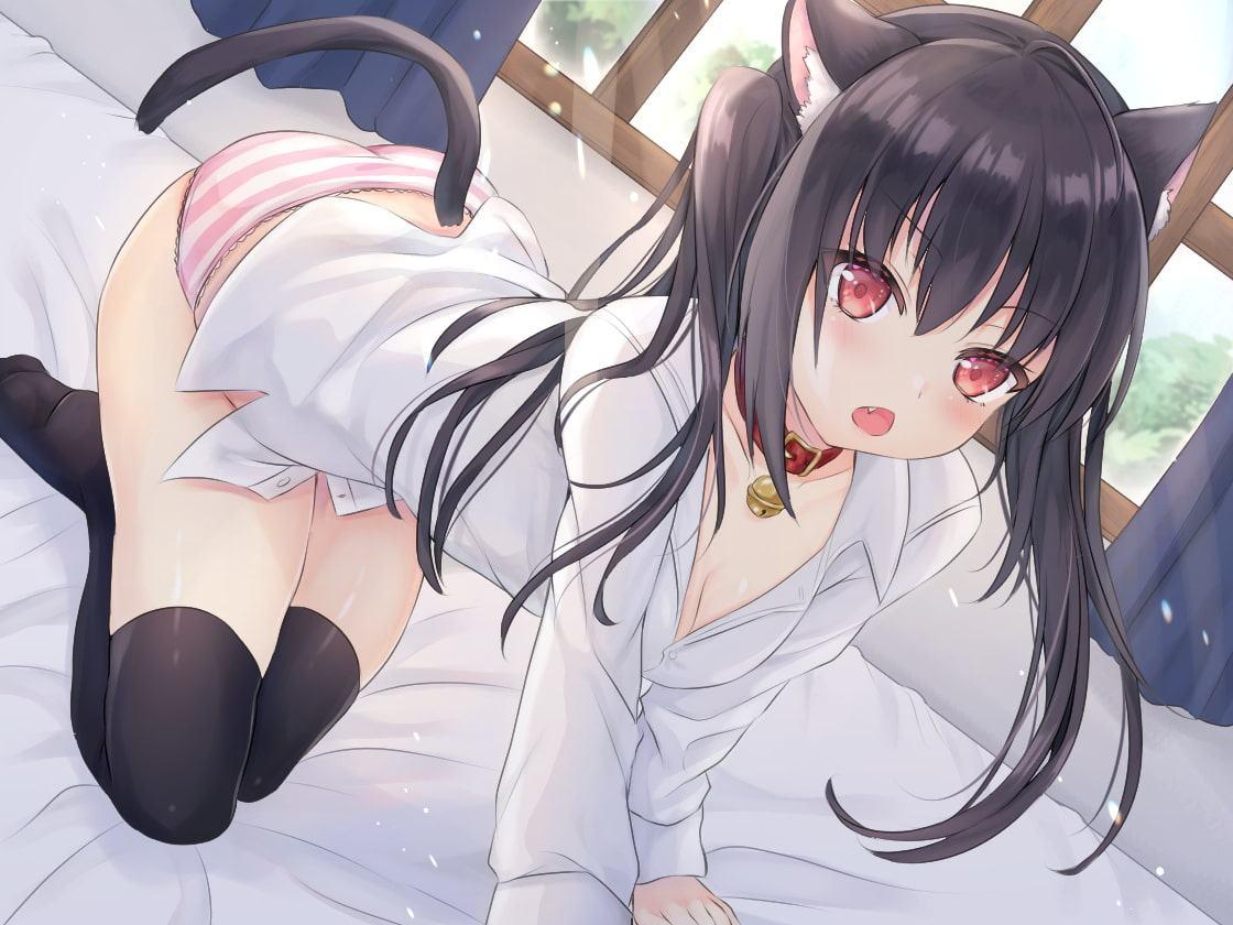 すいーとぺっとたいむ〜黒猫ロリとイチャ甘ア◎ルセックス三昧〜