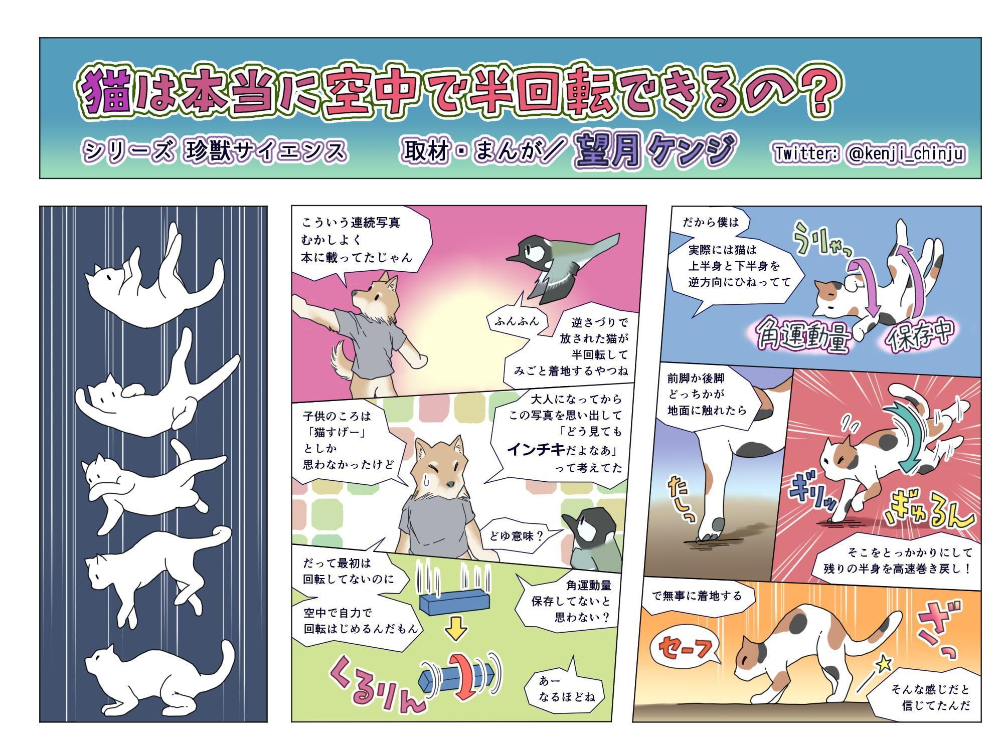 猫は本当に空中で半回転できるの?