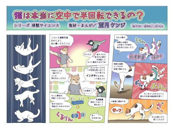 猫は本当に空中で半回転できるの?