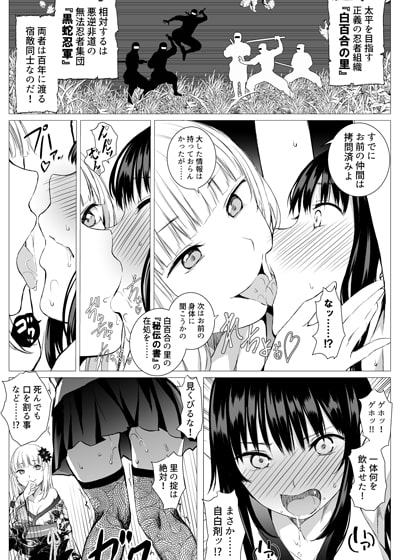 お忍び少女の遊び方