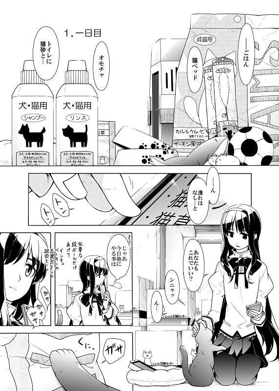 暁美さん家のエイミー