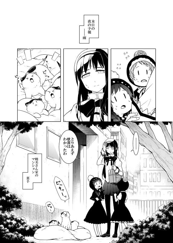 暁美さん家のキトンズ