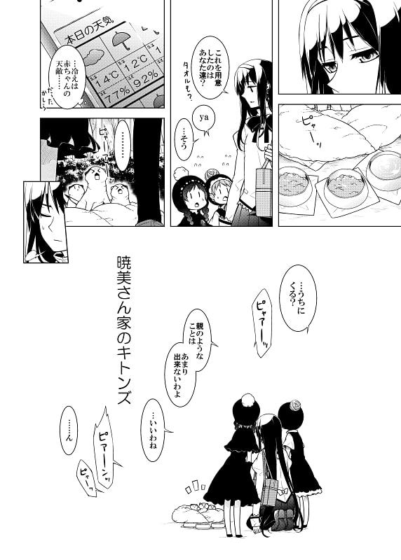 暁美さん家のキトンズ