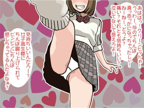 破壊好きの鬼畜JKに容赦ない連続金蹴りを喰らうボク(CV 小形はな様)