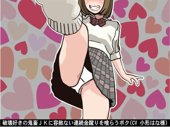 破壊好きの鬼畜JKに容赦ない連続金蹴りを喰らうボク(CV 小形はな様)
