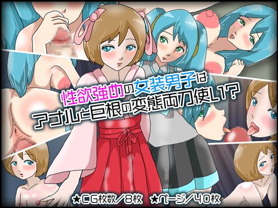性欲強めの女装男子はアナルと巨根の変態両刀使い?