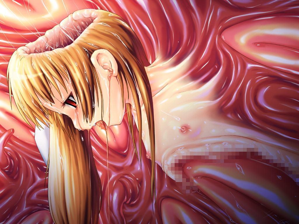 蛙の悲鳴・想集編<電子書籍版>