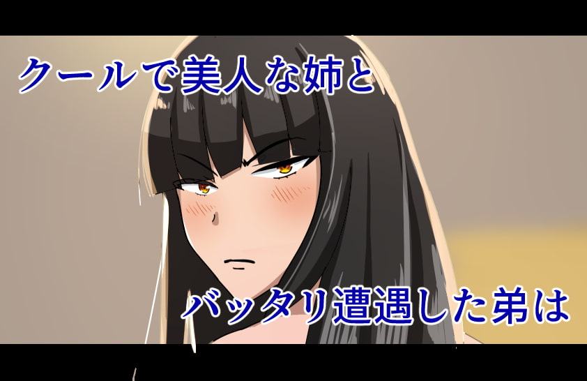 姉の子宮に種付CG～脱衣所編～