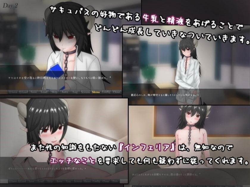 もしもサキュバスの奴隷をかってみたら・・・