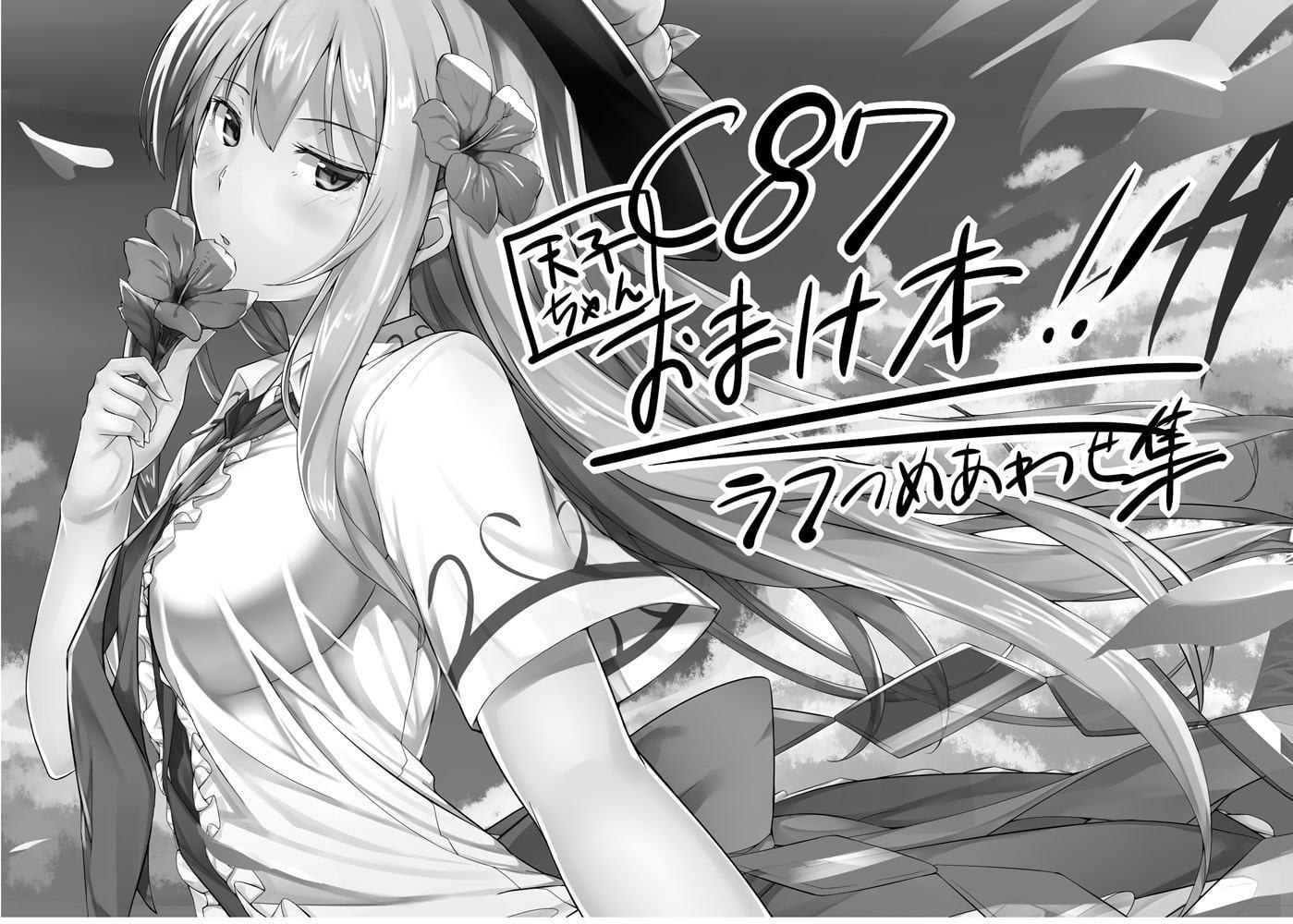 天子画報・III & IV + C87 & C88おまけ本