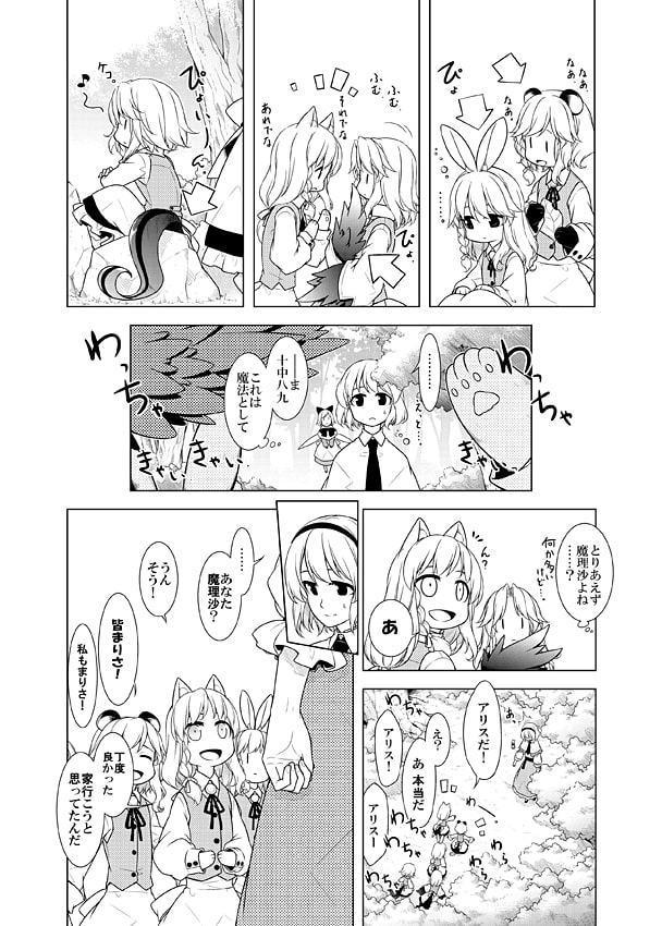 分割アニマルまりさメモ