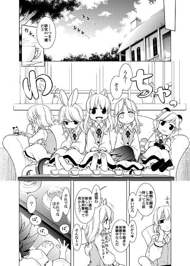 分割アニマルまりさメモ