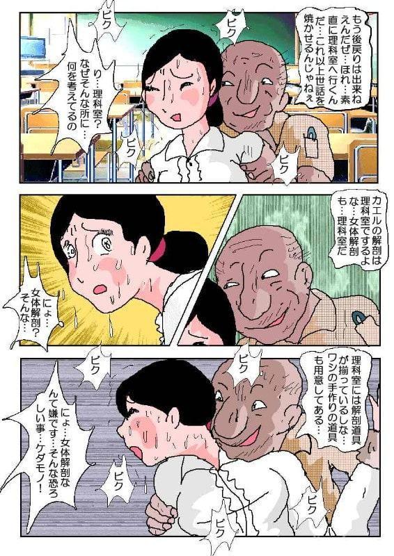 女教師3 恥辱の眠り猫