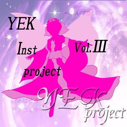 YEK Inst project VOL.III