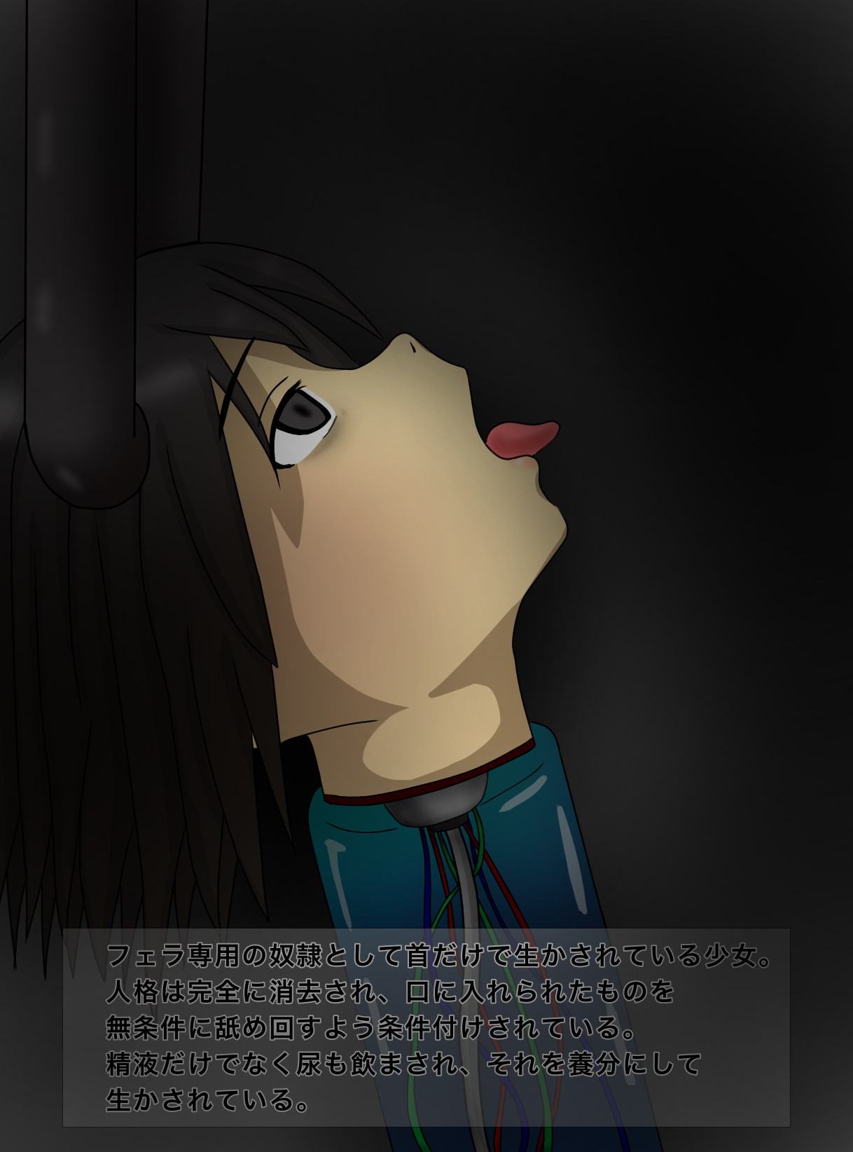 人体改造特化CG集 絶望箱 弐