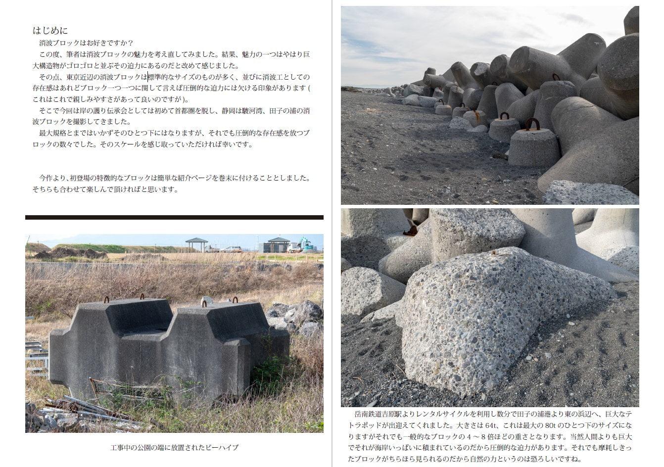 駿河国消波記-田子の浦編-