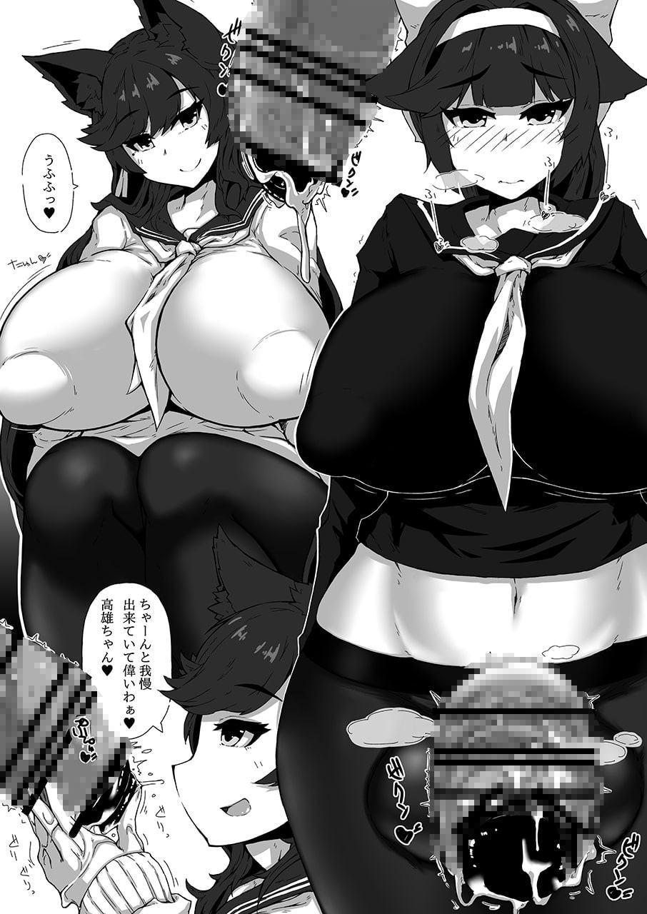 艦船変体妊娠レポート