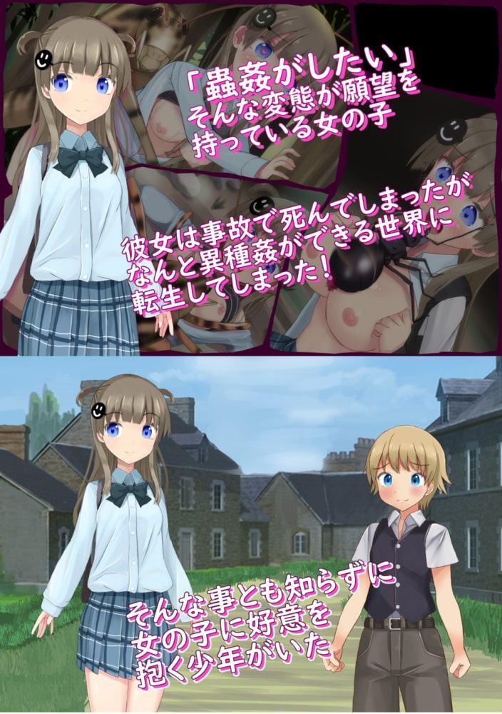 過去作品2作品セット