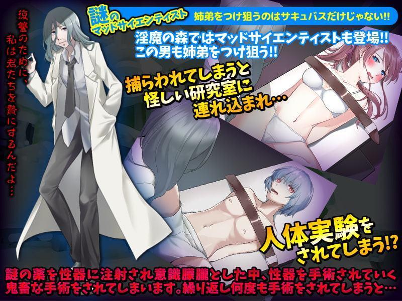 サキュバスの森に迷い込んだ姉弟を脱出させるゲーム