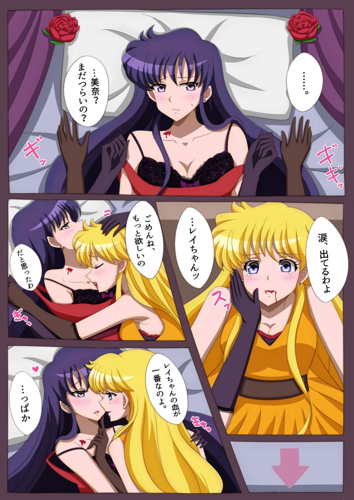 Pretty Guardian 百合イラスト集