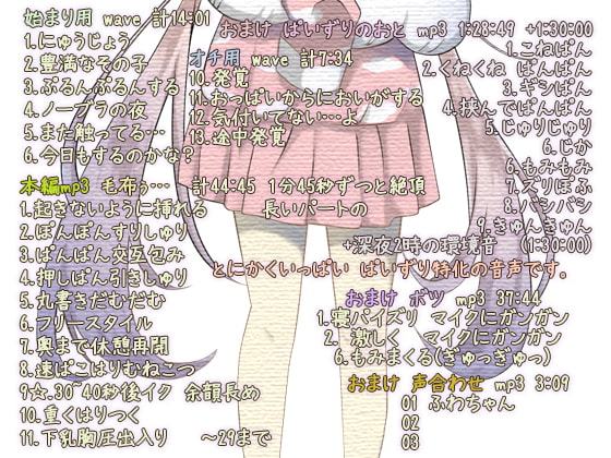 眠姦マエストロ 天使の寝息は夜に喘ぐ