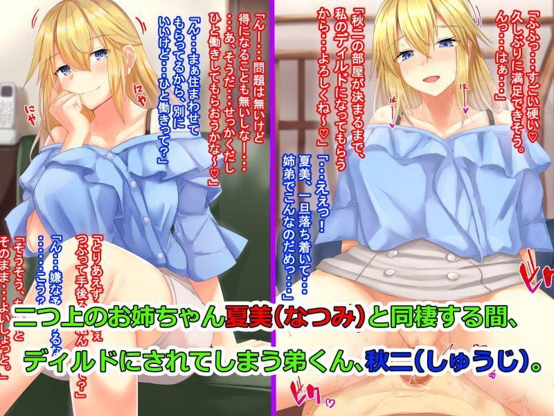 僕は姉の肉ディルド