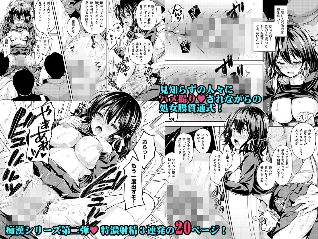 恥辱の痴漢電車2～狙われた受験生～