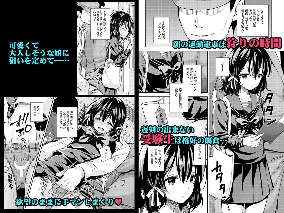 恥辱の痴漢電車2～狙われた受験生～