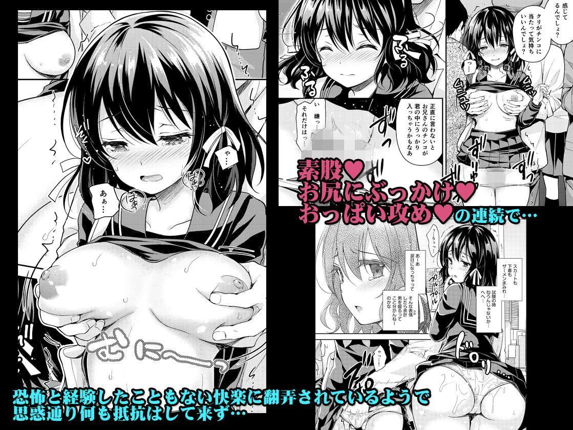 恥辱の痴漢電車2～狙われた受験生～