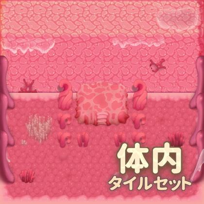 体内 タイルセット