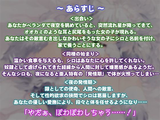 心に傷を抱えたケモ耳娘…解きほぐしヤダヤダせっくす～キモチイイなんて、奴隷にいらないぃ…っ～