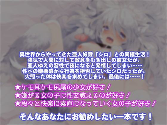 心に傷を抱えたケモ耳娘…解きほぐしヤダヤダせっくす～キモチイイなんて、奴隷にいらないぃ…っ～