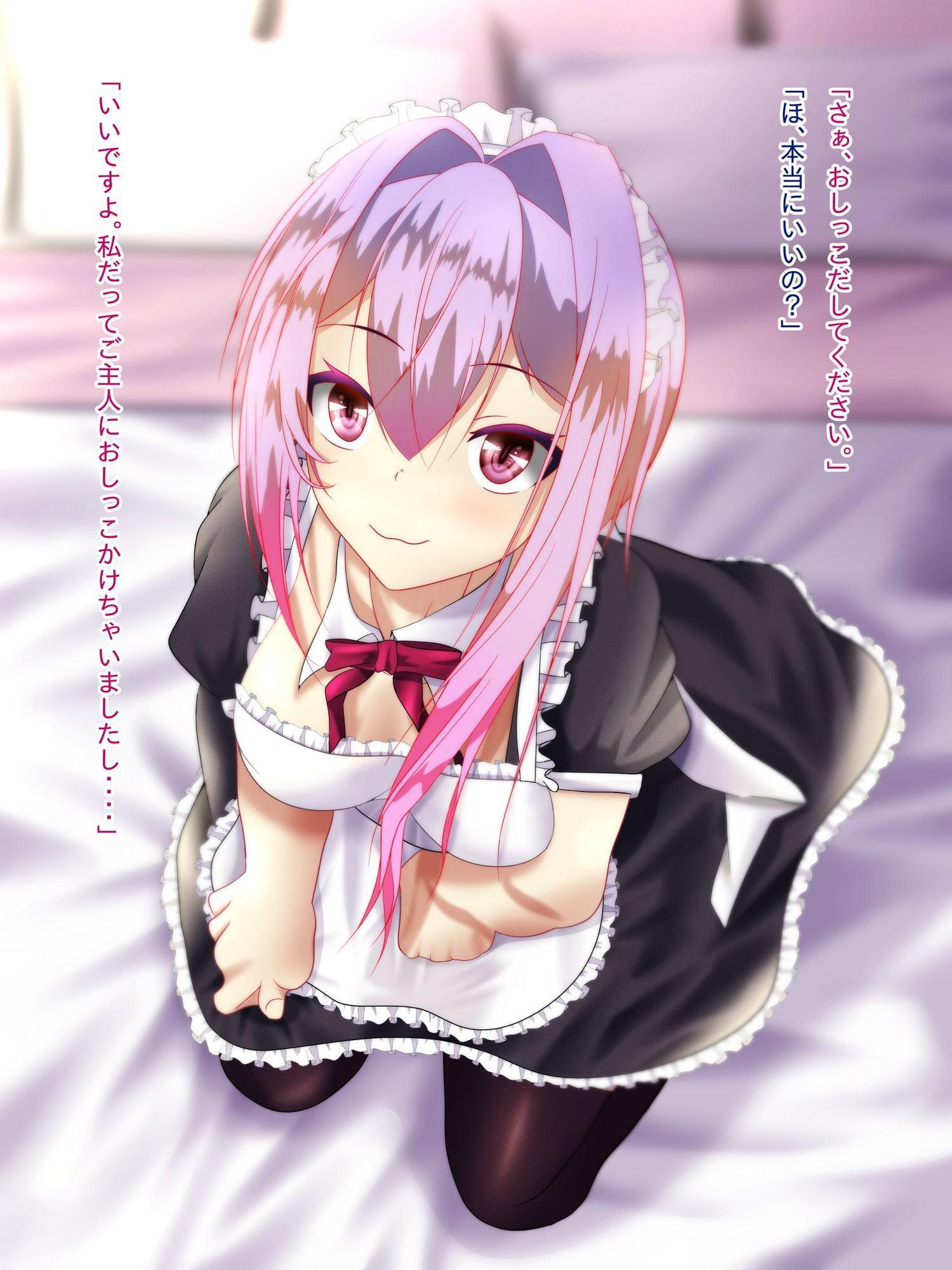 なんでも言うことを聞いてくれるメイドちゃんにお願いしてみた