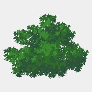 出雲寺ブラシセット_クリスタ版