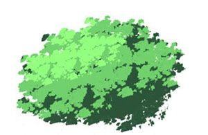 出雲寺ブラシセット_クリスタ版