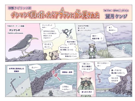 チシマシギ見に行ったらアザラシにガン見された