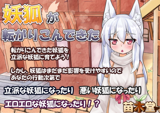 妖狐が転がりこんできた