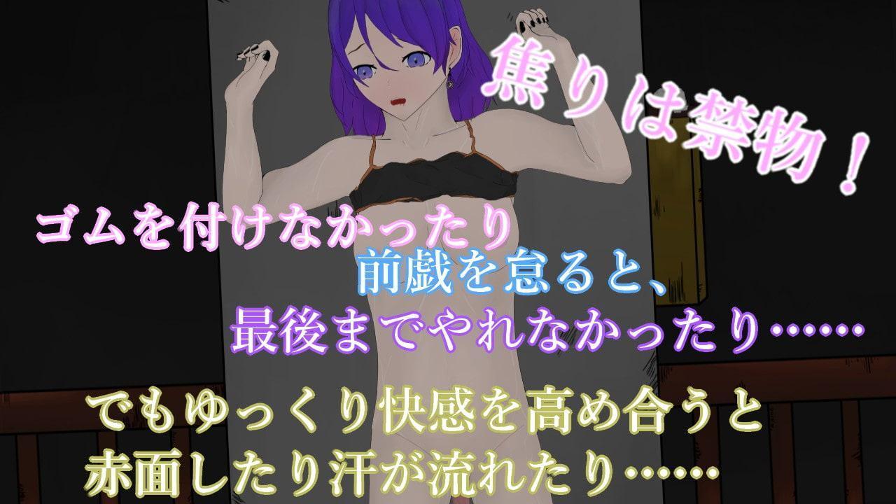 LunarTimeQuietGirl~高架下で交わる夜～