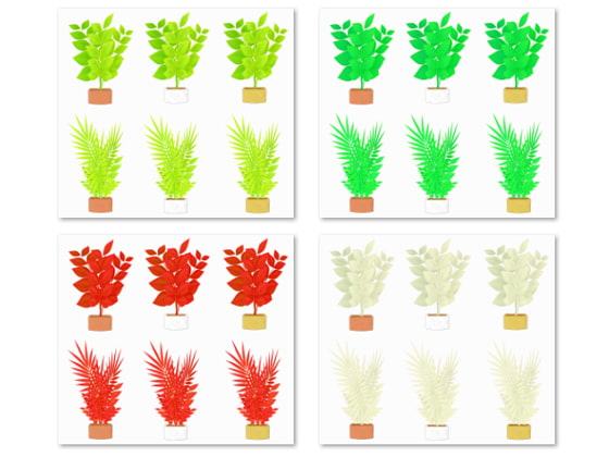 観葉植物素材集