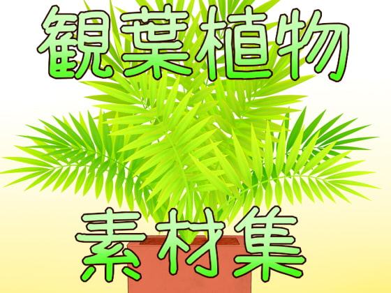 観葉植物素材集